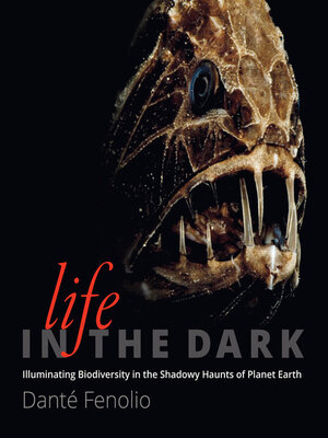 cover image of Life in the Dark